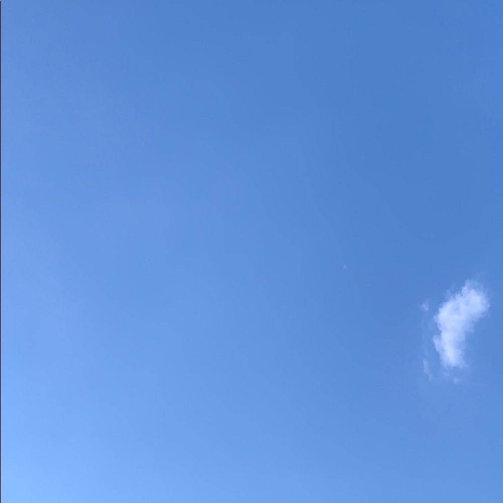 Meet your Posher, Callie